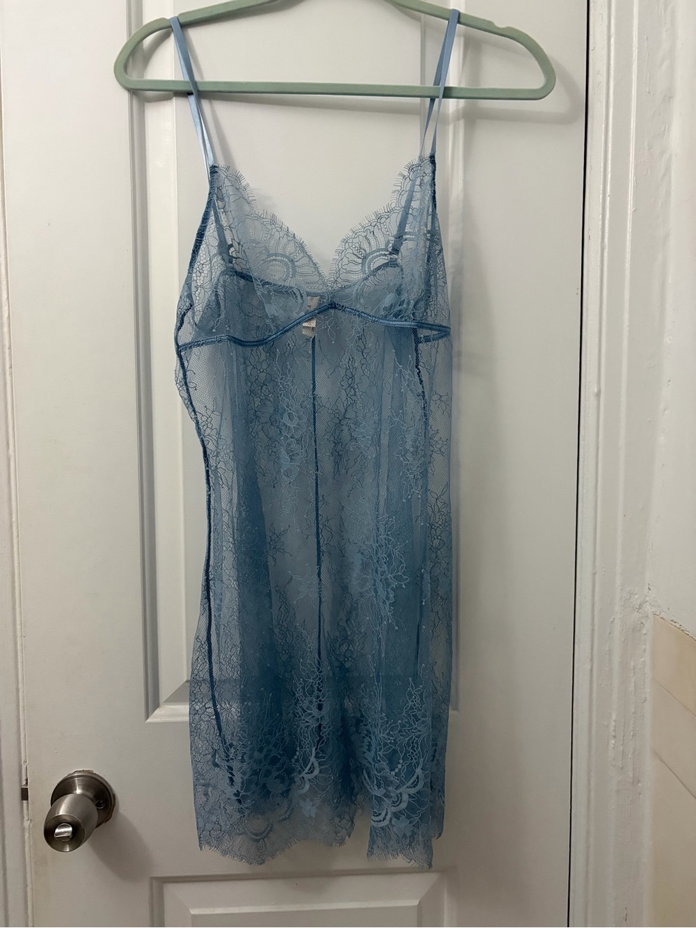 LyreBird lace mini slip dress